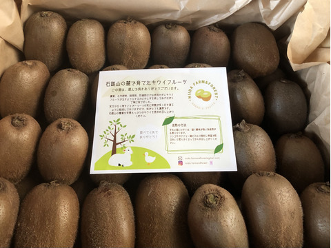 【栽培期間中農薬、化成肥料不使用】栄養たっぷり！甘くてジューシーなキウイフルーツ　4.8kg