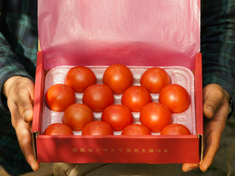 アルテトマト☆約800g（10玉～16玉）☆コクと旨味をギュっと濃縮！高糖度トマト