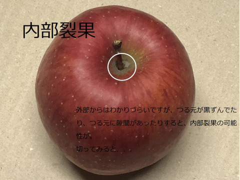 青森りんご　甘酸適和でりんごの代名詞、サンふじ　家庭用　約５キロ　農家直送