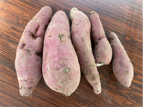 訳あり特価！紅はるか　追熟済み　ベニハルカ　さつま芋　薩摩芋　さつまいも　お試し 2キロ 2㎏　少量