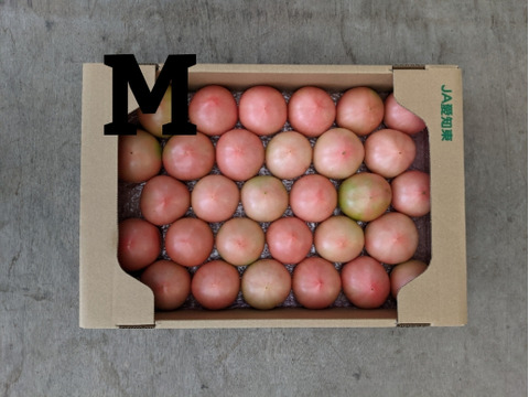 トマト4kg箱サイズM