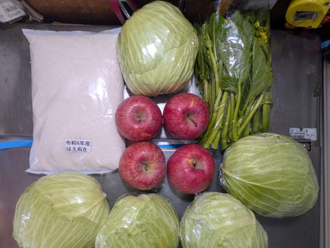 キャベツ、アスパラ菜、お米、リンゴ