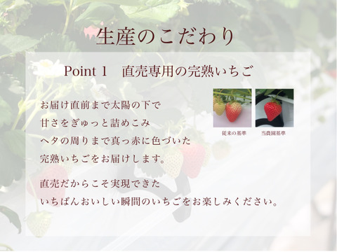 【子どもが喜ぶ夏イチゴ】と【濃厚!! 夏イチゴの甘酒『苺姫 無垢』】のセット!!  【ご自宅用】