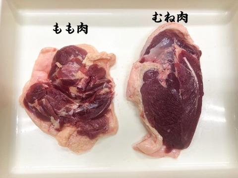 福岡県産鴨肉 無投薬飼育 発酵肥料で育てた はかた極味鴨 もも肉むね肉半身セット 約500ｇ 福岡県産の肉 食べチョク 産地直送 産直 お取り寄せ通販 農家 漁師から旬の食材を直送