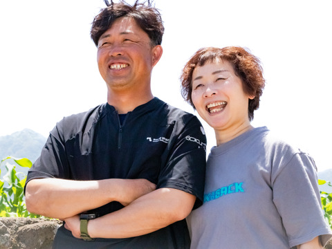 【訳あり】"おいしい水分補給"で熱中症対策『湧水きゅうり』 4kg：約30本