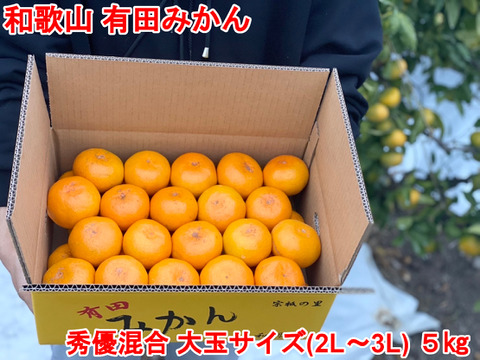 【大玉サイズ(2L・3L)・秀/優混合】≪5㎏≫和歌山有田産!早生みかん