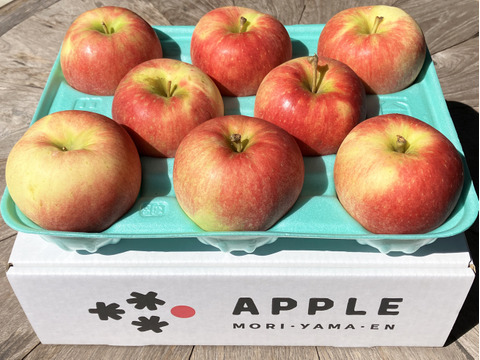 農薬半減栽培りんご🍎品種おまかせ大玉3kg🍎訳ありご家庭用　葉とらず🍃特別栽培認証りんご✨