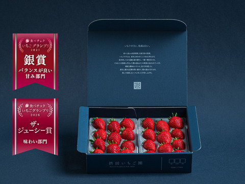 【🥇いちごグランプリ2026ジューシー賞受賞】最高鮮度でお届け！ 優しい甘味とジューシーな果汁！ いちごさん　【2パック/500g】ギフト/贈答/家庭用