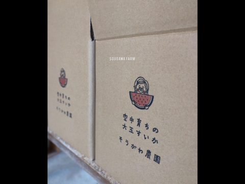 【夏ギフト】贅沢な甘さとシャリ感『空中育ちの大玉すいか』６kg　１玉