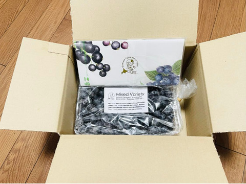 【道産自然栽培】冷凍ブルーベリー•1kg（古参品種ミックス）※まとめ買い対応