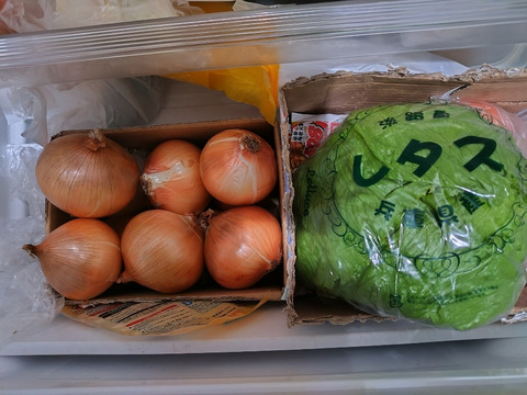 新玉ねぎ3kg 🅱️ 🅱️🧅数量限定‼️淡路島極熟玉葱　今が旬‼️ 特別栽培農産物　シャーロットオニオン