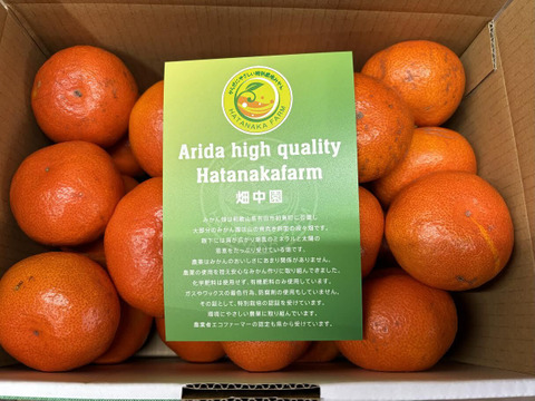 【3キロ】樹上完熟 小原紅 節減対象農薬 特別栽培で育てたからだにやさしい　有田みかん