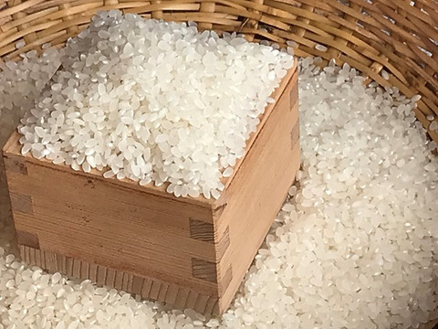 R5産 特別栽培米コシヒカリ 白米 5kg