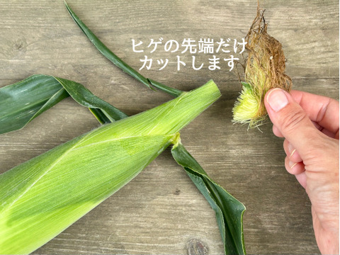 ※10日待ち(9本入) 信州産｜生糖もろこし｜瑞々しく甘いフルーツコーン
