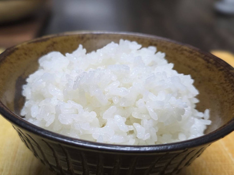 一等米⭐【熊本県産 令和７年新米】【関東から九州の方限定】ヒノヒカリ 玄米５キロ