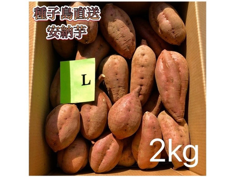 【絶品】aimo農園｜安納芋 Lサイズ 2kg(箱別)