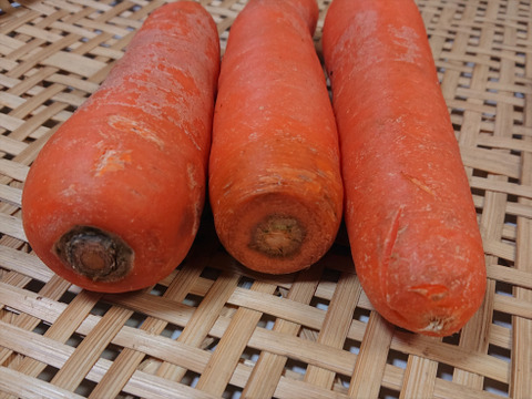 有機にんじん【9kg】サラダ、ジュース用におすすめ！平均糖度10超え！