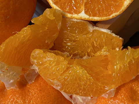 愛媛の甘平☆混合サイズ☆ご家庭用☆⒉5㎏