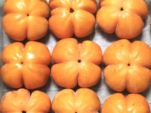 今季最終・富山の四谷柿（よたんがき）ご家庭用2.5kg前後