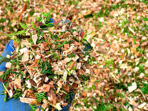 【受注収穫】掘りたて新生姜４ｋｇ 農薬不使用 自然栽培 四万十産