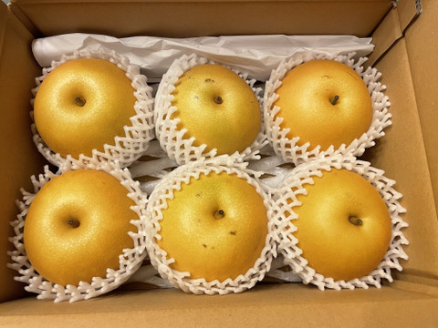 鳥取産・あきづき梨3kg(7～9玉入り)