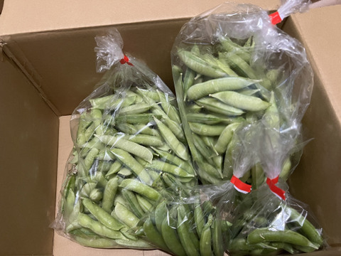 予約販売【自然栽培】グリンピースとひと味違う「うすいえんどう」(2kg)