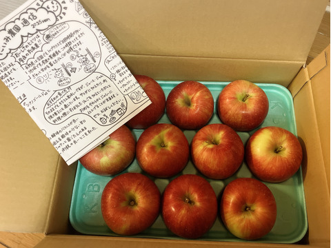 甘くて美味い！シナノスイート　長野県産　ご家庭用　約3kg(7個〜12個)