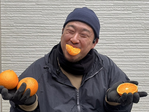 激甘っ♪清見オレンジ7kg