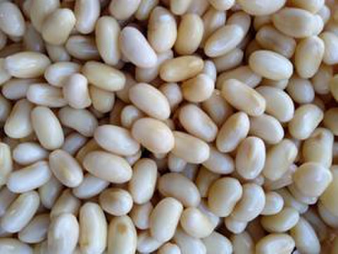 【自然栽培】ホクホク甘い大豆　1kg
※レターパックライト発送