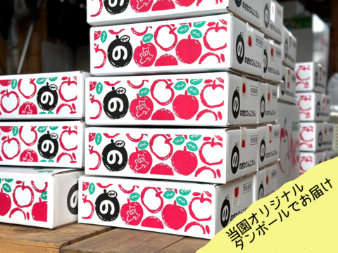 【縁起物】🍎葉とらずふじ⭐️金星（９～１１玉）約３キロ箱 ID179783