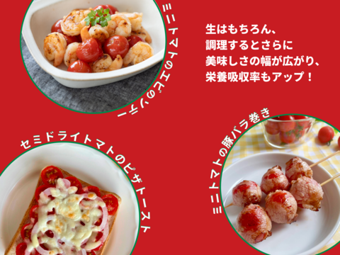 【12月発送】☆初めての方限定☆少量お試し☆超濃厚ミニトマト　400g　家庭用　
プチトマト