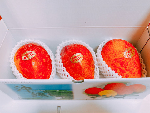 【夏季限定】あまっ！沖縄県産アップルマンゴー約１kg