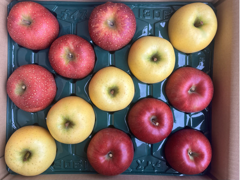 【３品種】詰め合わせ🍎🍏　おまかせ3キロ