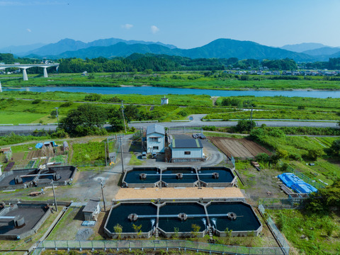 宮崎県産サクラマスを使用した宮大サーモンカツ（30g×6枚入）×4p入