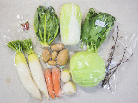 旬の有機野菜Mセット　しあわせ野菜畑（有機JAS）