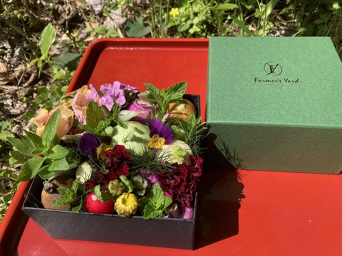 【母の日ギフト】野菜ブーケボックスタイプ大【メッセージカード付き】【カラフルなミニ野菜】【4/26(土)～5/18(日)お届け】