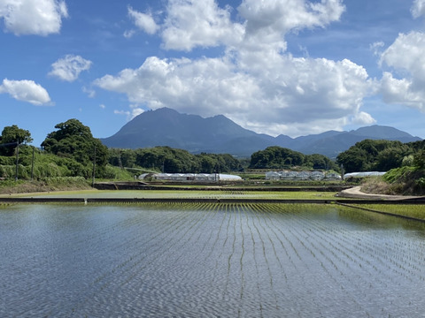 まほろば浪漫🌾ヒノヒカリ (精米5㎏)令和6年