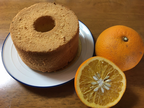 お野菜シフォンケーキ14センチ 八朔 愛知県産 食べチョク 農家 漁師の産直ネット通販 旬の食材を生産者直送