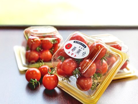 【贈答用】寿美令トマト（250gパック6個／化粧箱入り）フルーツトマト　ミニトマト　アイメック農法【母の日ギフト】