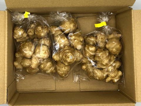 カラダに良いといわれている『キクイモ』300g×4袋入り