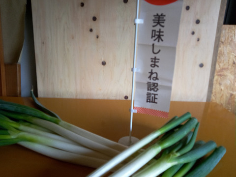 驚きの甘さとトロトロ感『浄善寺ねぎ』3kg：島根県産のねぎ｜食べ