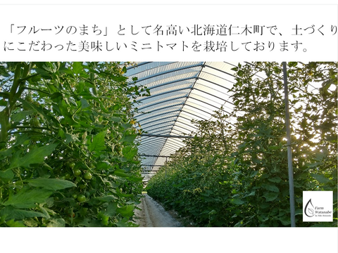 ミニトマトジュース(北海道仁木町産アイコ100%)１L ×12本～無塩、無糖、保存料無添加