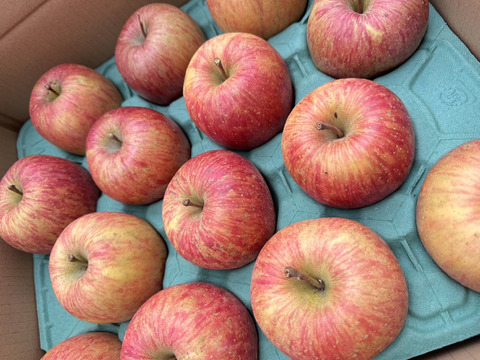 [数量限定出品]甘い！濃い！「葉取らずサンフジ」約5kg箱　12〜18玉