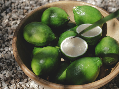 【皮が薄くて種がない】レモン 10kg【防腐剤・ワックス不使用】璃の香（家庭用) 国産レモン