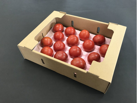 【8月中旬より発送】あ、あまい・・！高糖度トマト 1.6kg　化学肥料・農薬完全不使用　青森県産