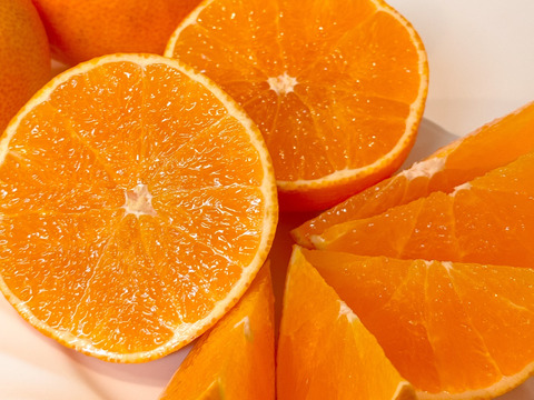 【贈答用】完熟ハウス 福まどんな《秀品 2.5kg》｜愛媛・西宇和産【冬ギフト】