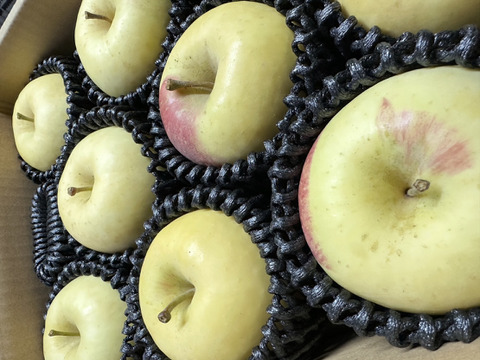 圧倒的存在感！超絶希少りんご「白ふじ」約3kg箱　8〜10玉