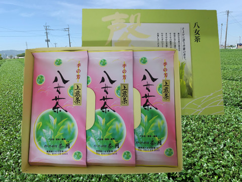 【ギフト対応】 八女茶 上煎茶100g×3袋【熨斗付き】