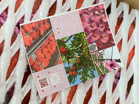 ８月下旬よりお届け🍑朝採れ『川中島白桃』２Kg箱入り　６個から８個入り 家族や友人との夏の団らんに、贈答品やお祝いのギフトとして、夏のデザートや料理の材料として是非ご堪能ください。