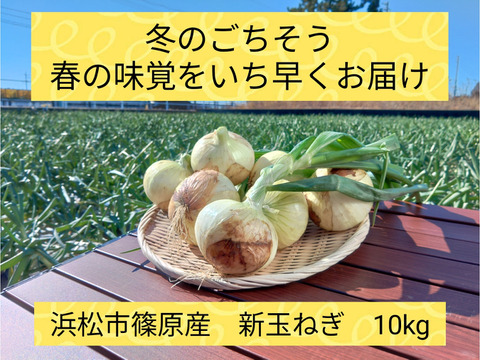 冬のごちそう！野菜ソムリエサミット銀賞【新玉ねぎ】5kg　浜松篠原産